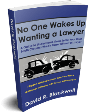 no one wakes up wanting a lawyer ebook