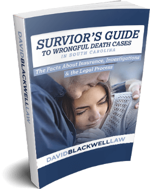 survivors guide to wrongful death cases ebook
